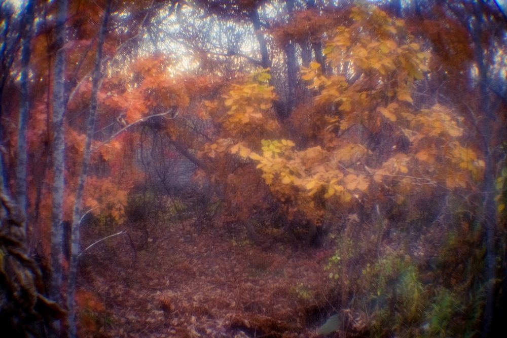 Photograph by Yana Plesakova