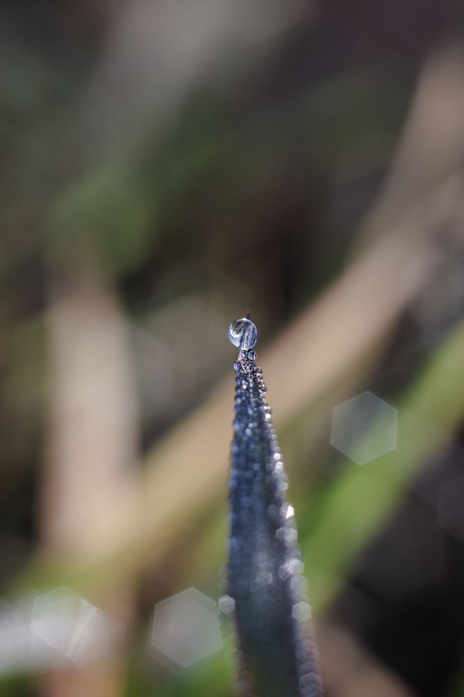 Photograph by Наталья Островцева