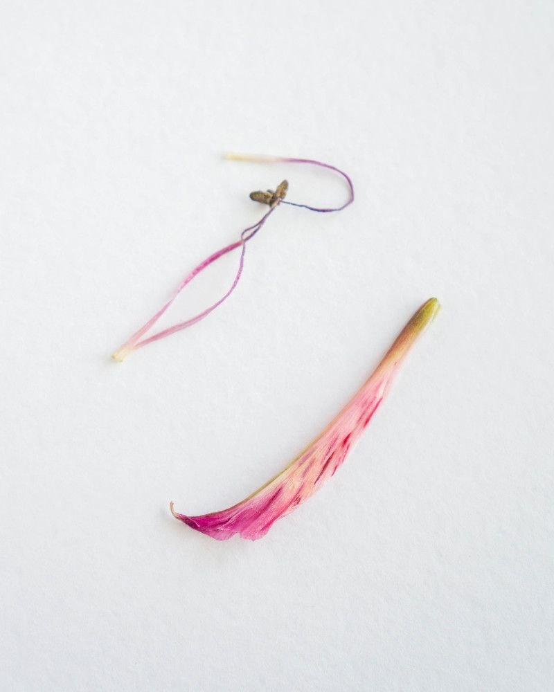 Photograph by Светлана Нестерова