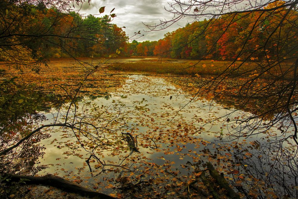 Photograph by Alex Galkin