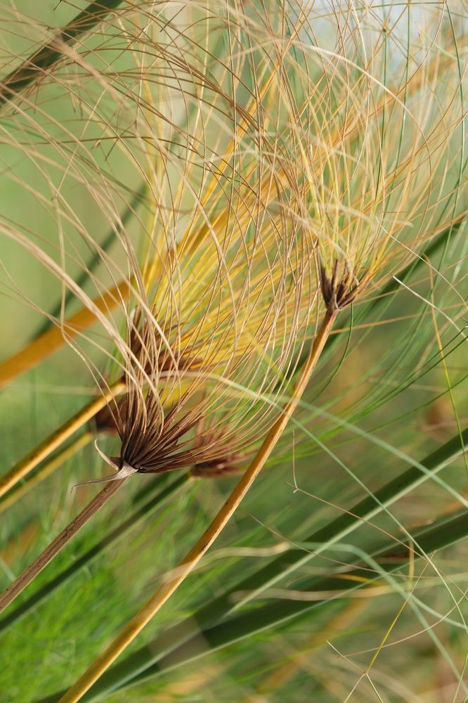 Photograph by Meilany Wijaya