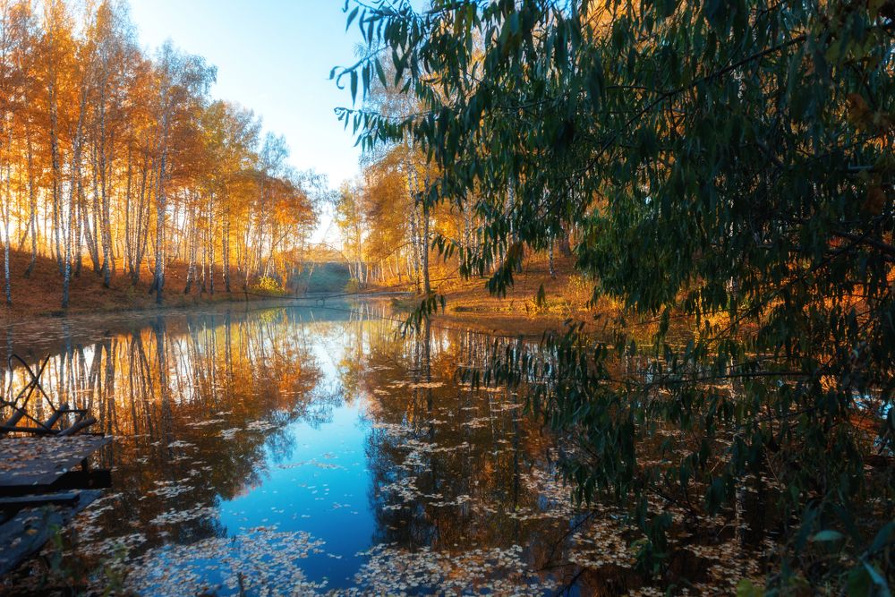 Photograph by Денис Илюхин