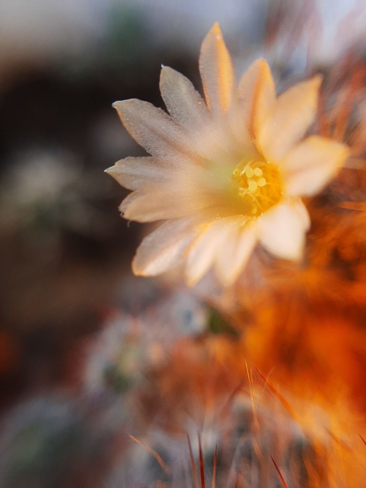 Photograph by Анастасия Нагайцева