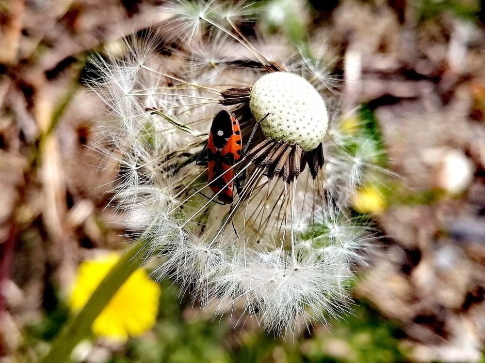 Photograph by Дмитрий Петренко