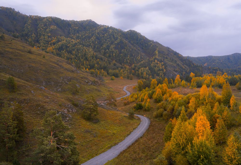 Пасмурное утро