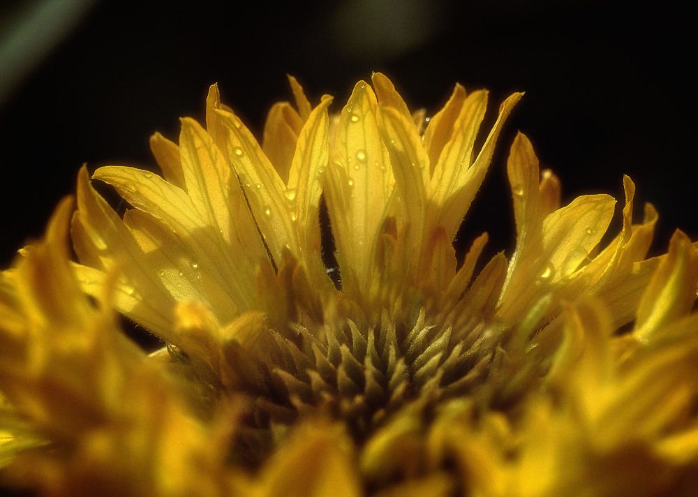 Photograph by Юлия Лушникова