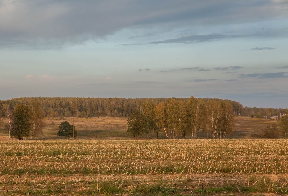 Photograph by Кира Орлова