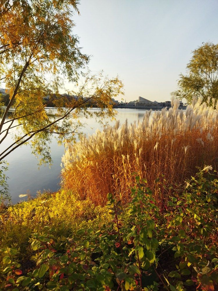 Photograph by Горрная Елена