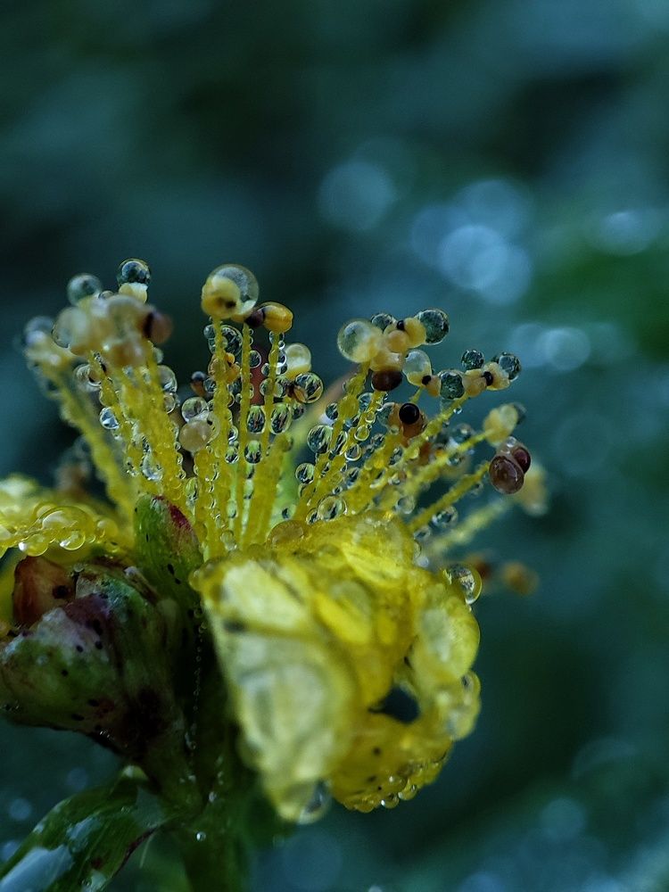 Photograph by Татьяна Лопатина