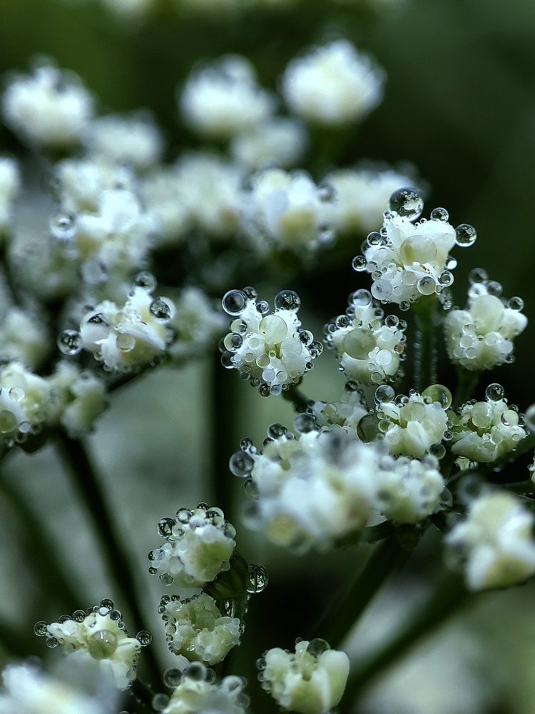 Photograph by Татьяна Лопатина