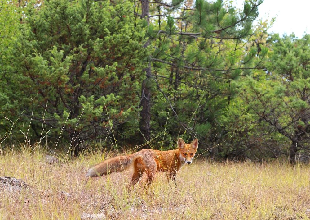 Photograph by Любовь