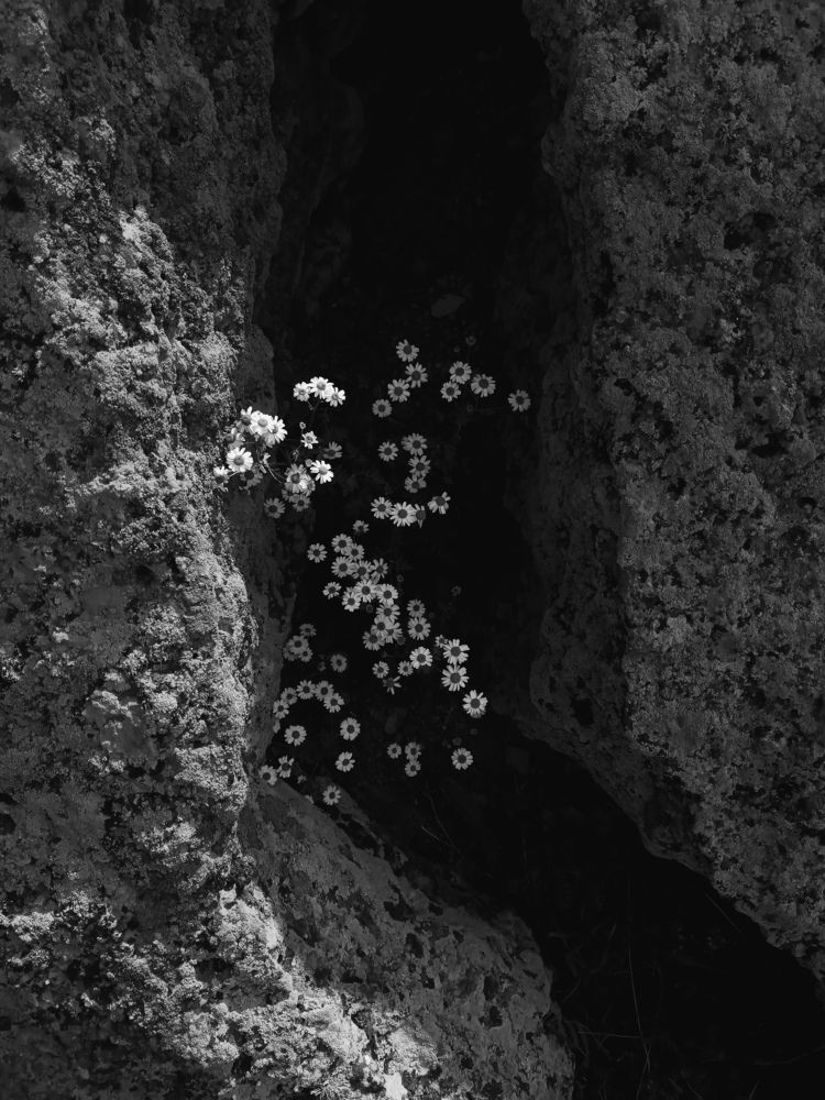 Photograph by Roghayeh Dannandeh