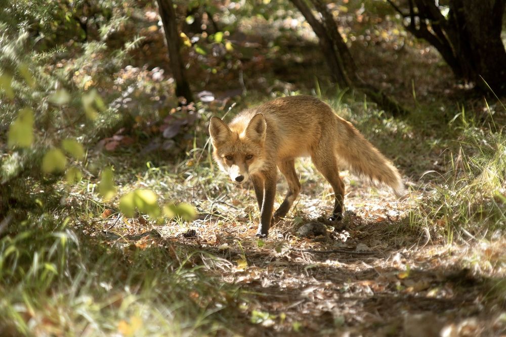 Photograph by Любовь