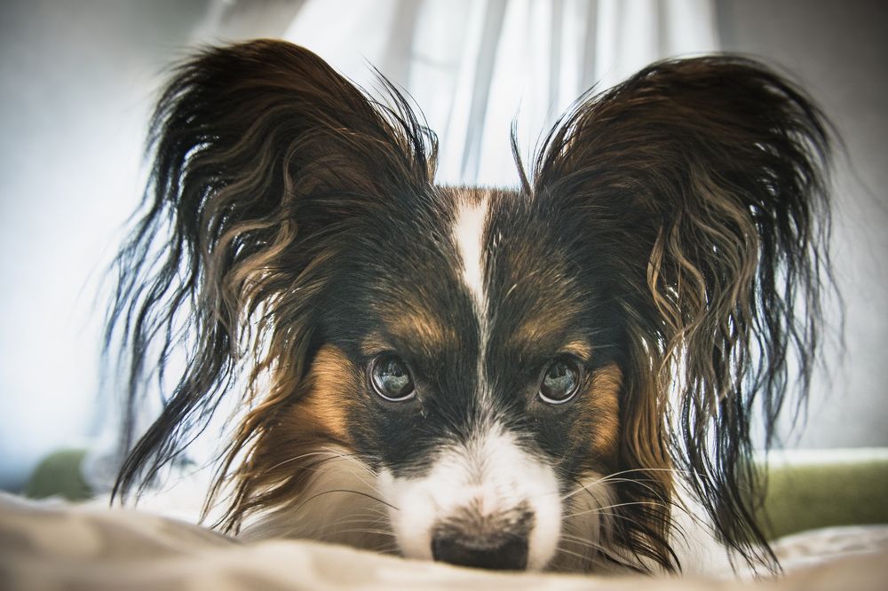 Photograph by Антон Гаврилов