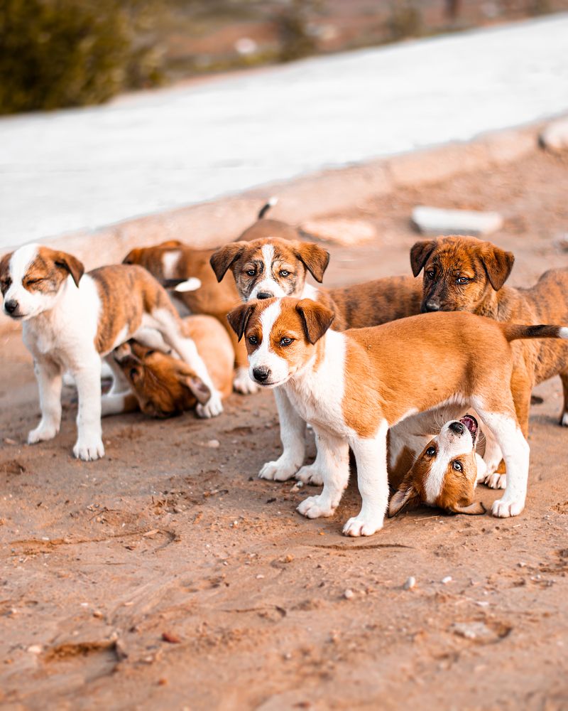 Photograph by Mehdi Ahmadzadeh