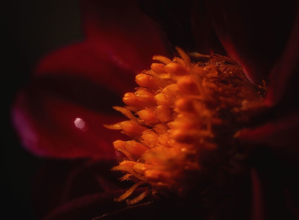 Photograph by Юлия Лушникова