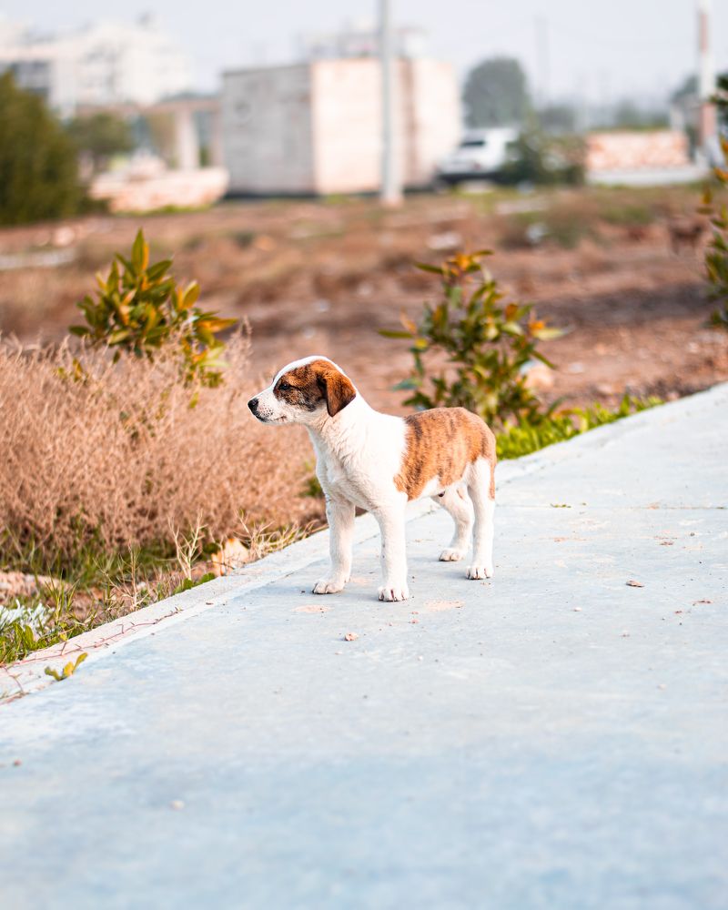 Photograph by Mehdi Ahmadzadeh