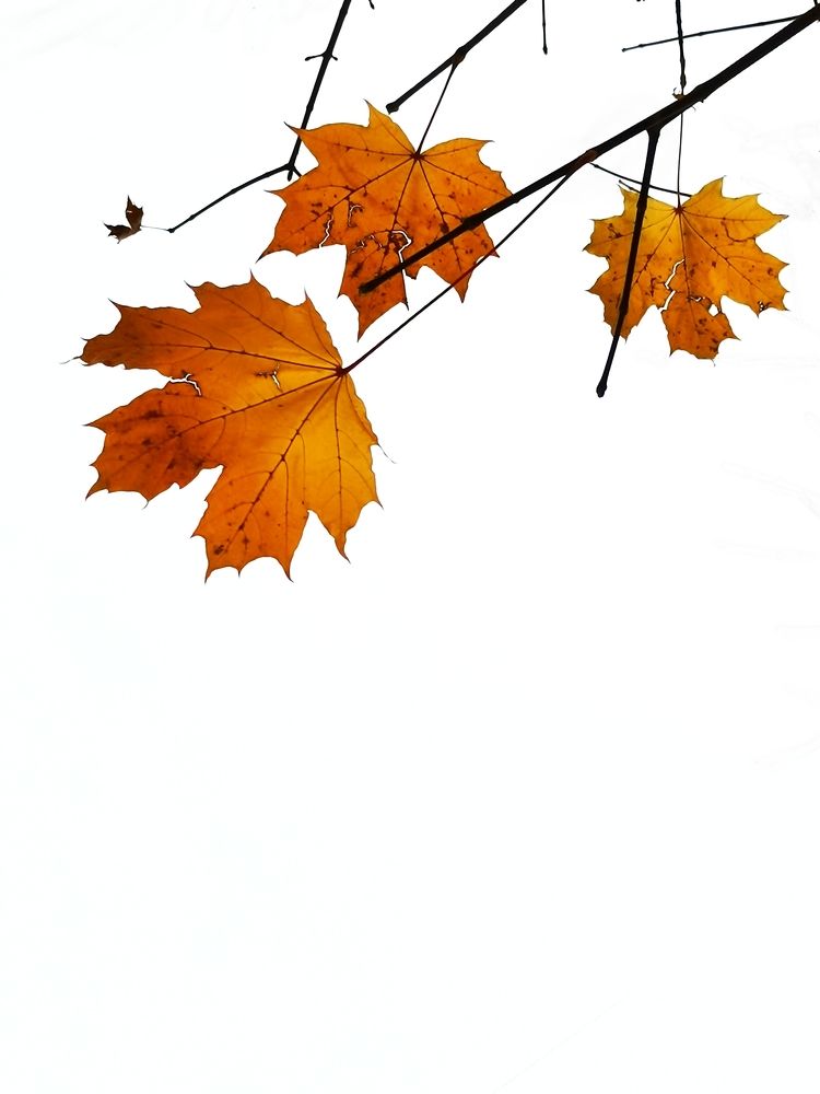 Photograph by Екатерина Першина