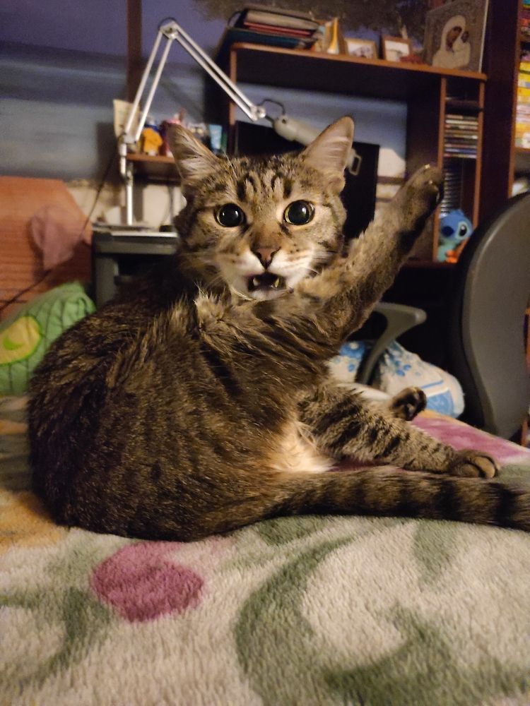 Photograph by Сидорова Ирина