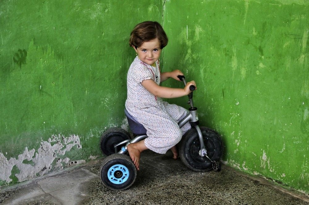 Фотография автора mohammad hossein moheimani