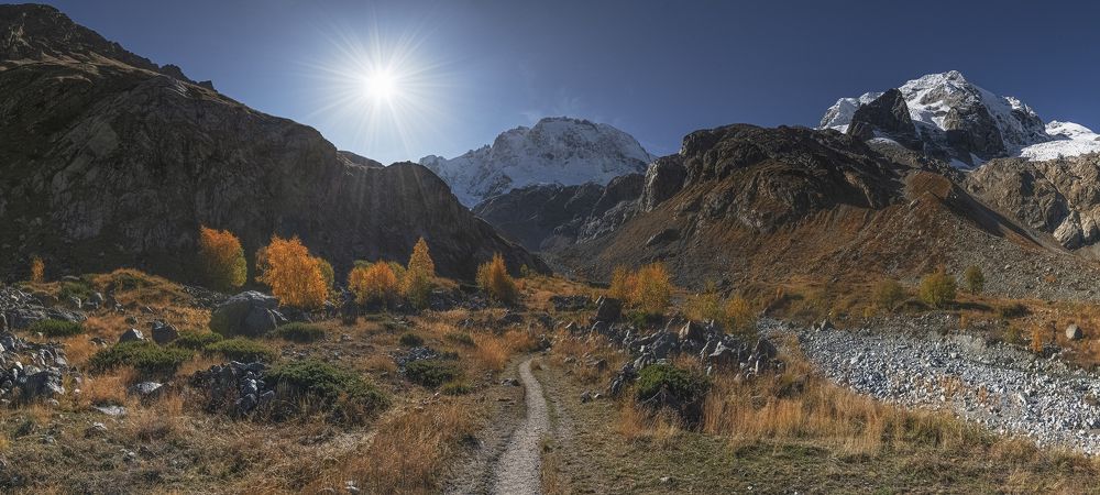 Осень в утренних тонах