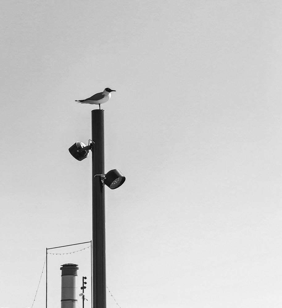 Photograph by Светлана Морева