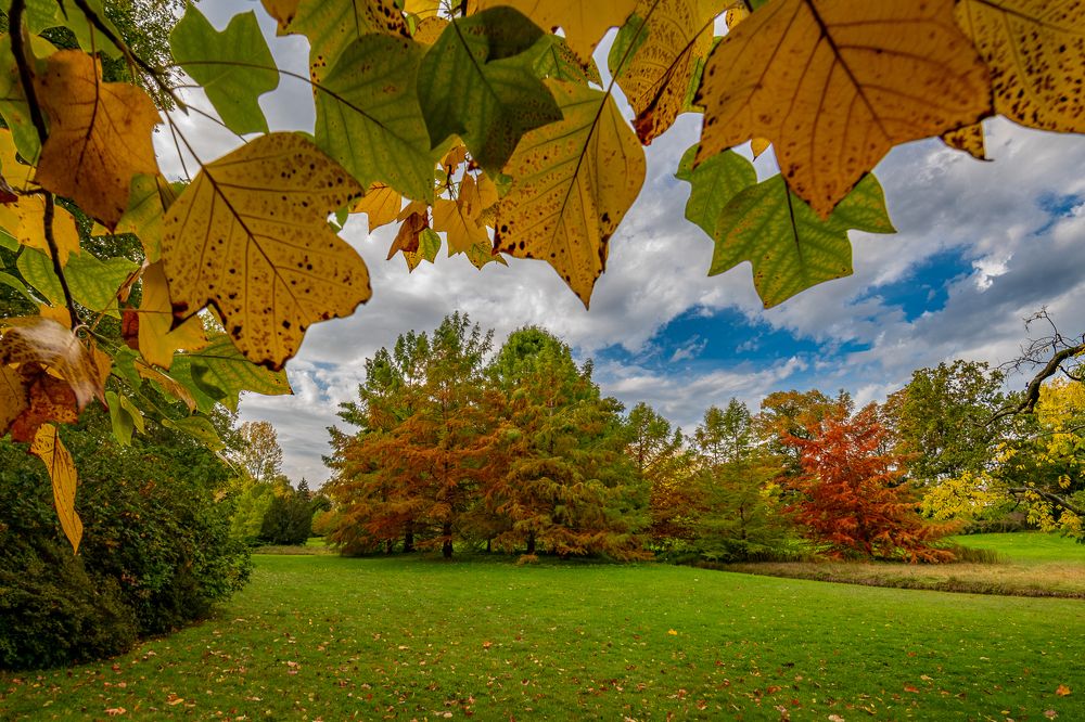 Фотография автора Дмитрий Потапов