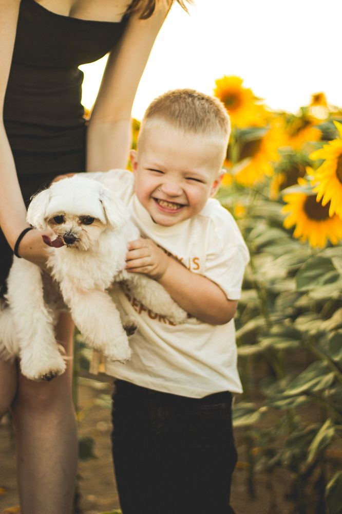 Фотография автора Katia Buiko