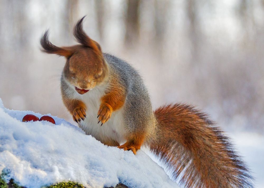 Photograph by Сергей Алексеев