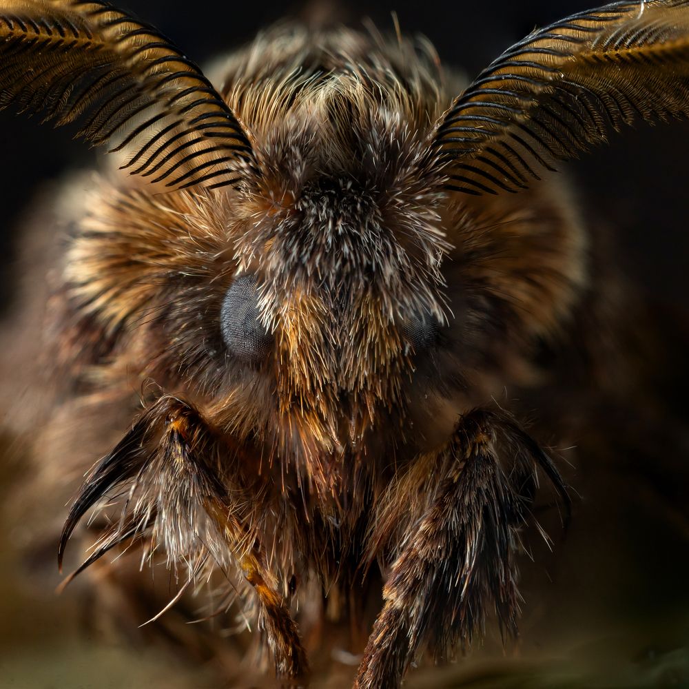 Photograph by Артём Малышев