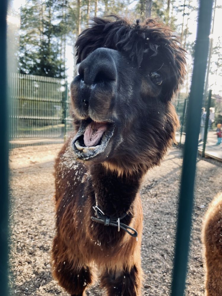 Photograph by Oksana Smorodina