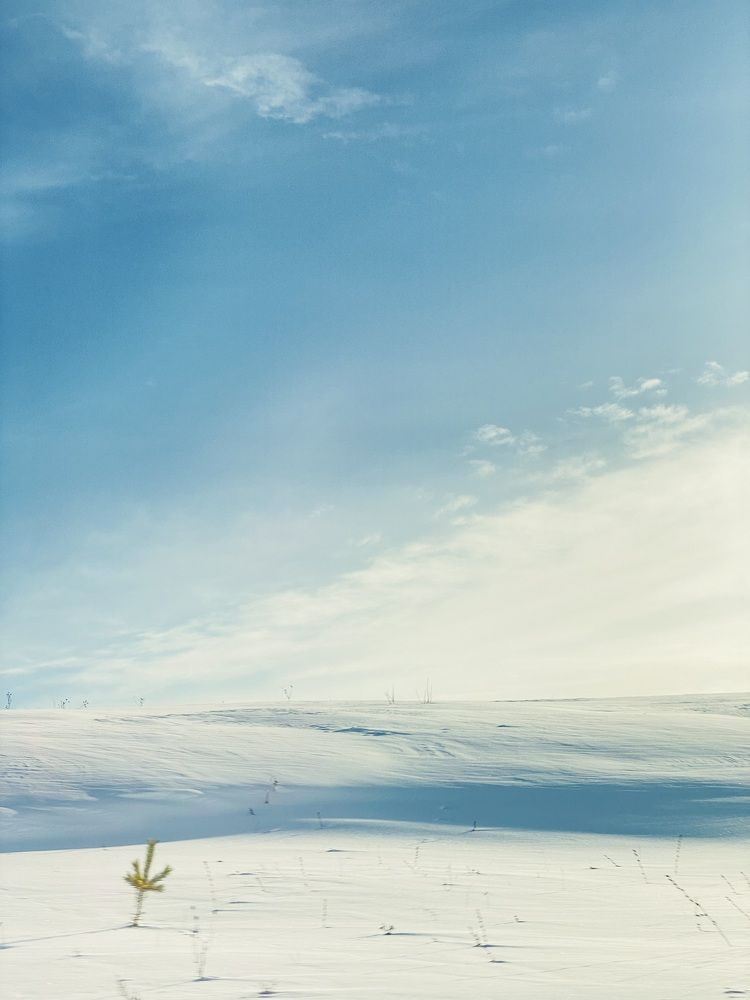 Фотография автора ГУЗАЛИЯ ГАНИЕВА