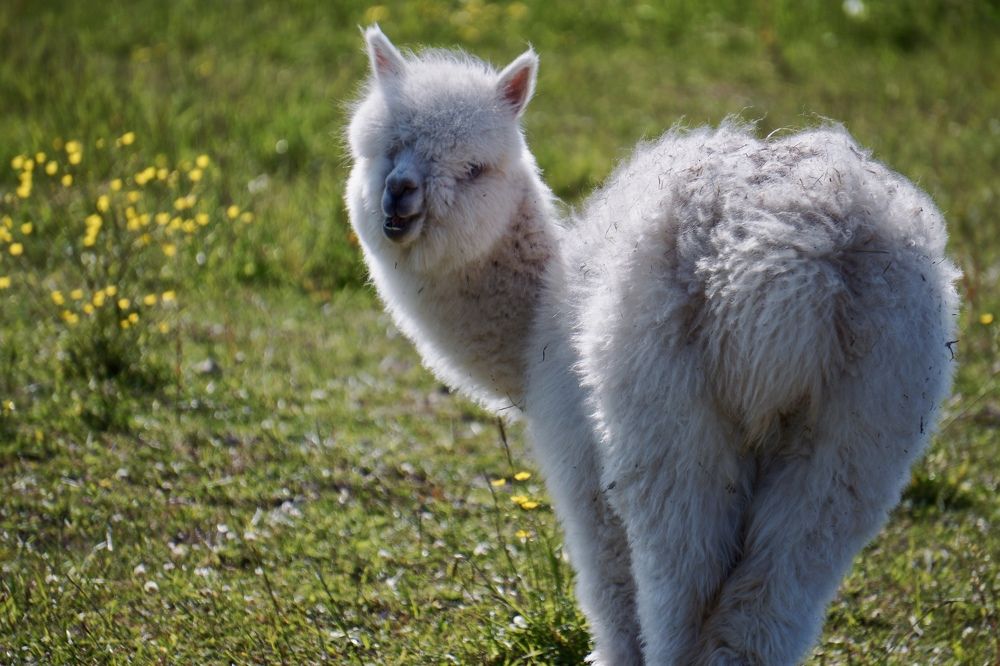 Photograph by Oksana Smorodina