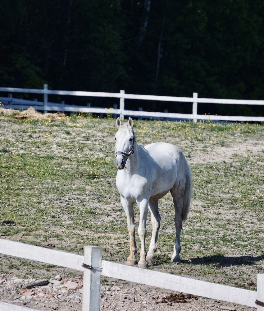 Photograph by Oksana Smorodina