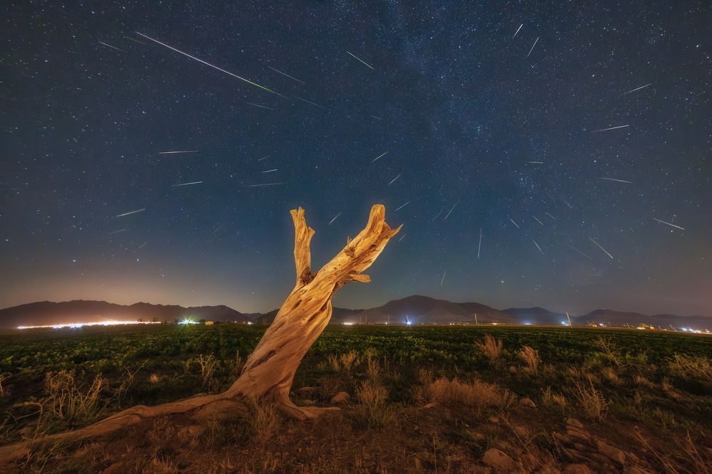 Photograph by Hamid espanani