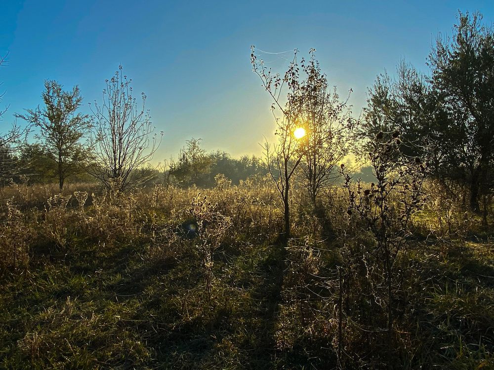 Photograph by Хавронина Марина