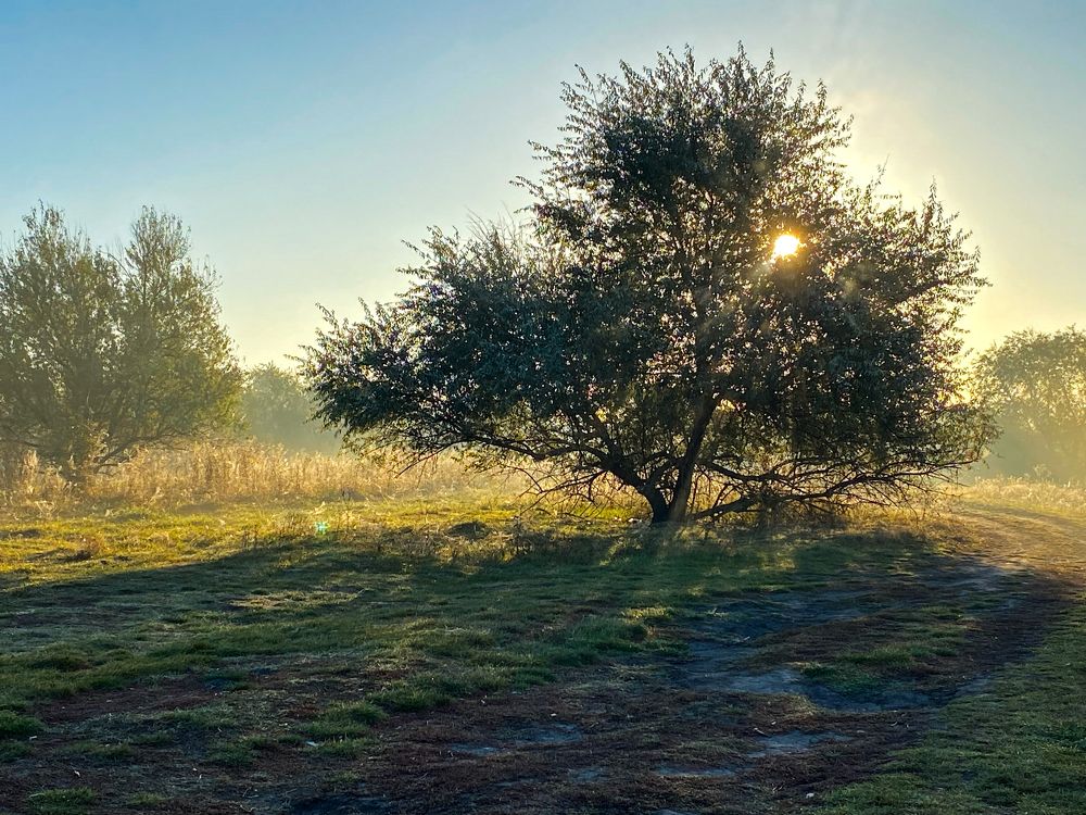 Photograph by Хавронина Марина