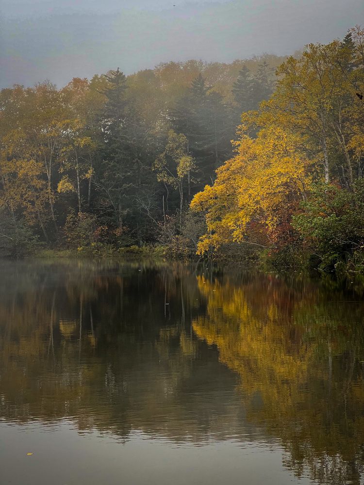 Фотография автора Маргарита Белошицкая