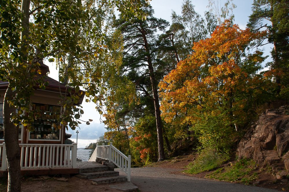 Фотография автора Олег Анатольевич Загорулько