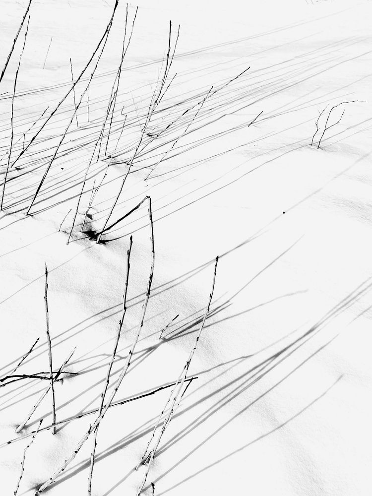 Photograph by Наталия Питолина