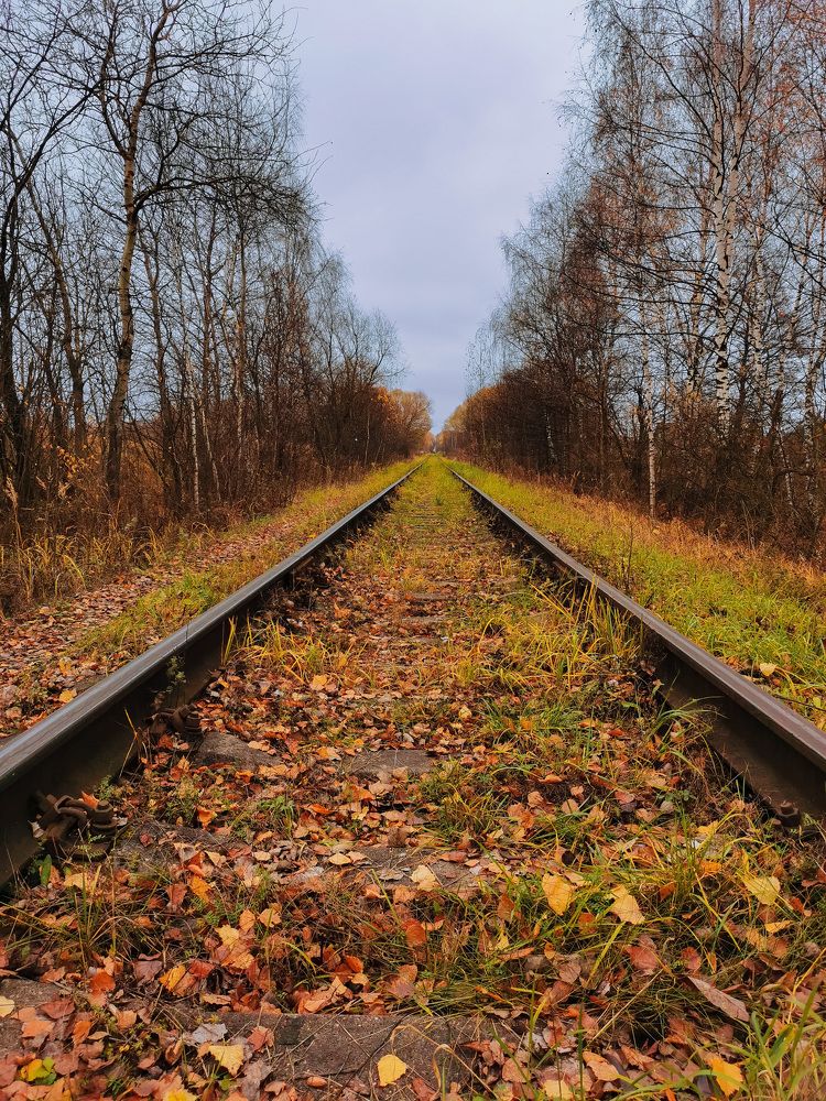 Photograph by Лия Маликова