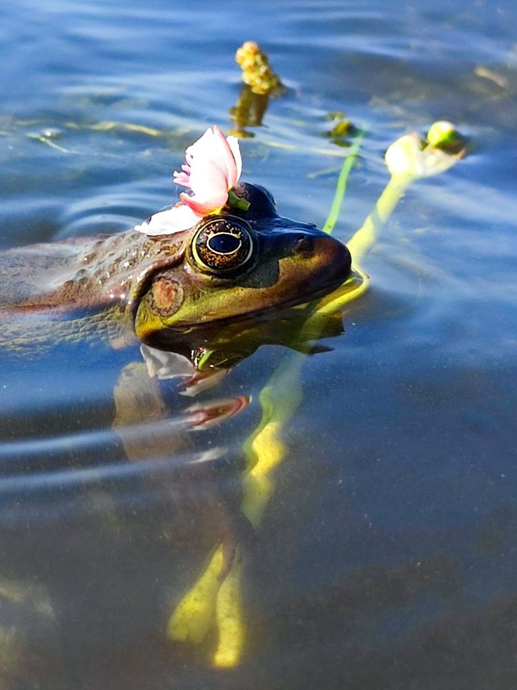 Photograph by Юлия Гинтер