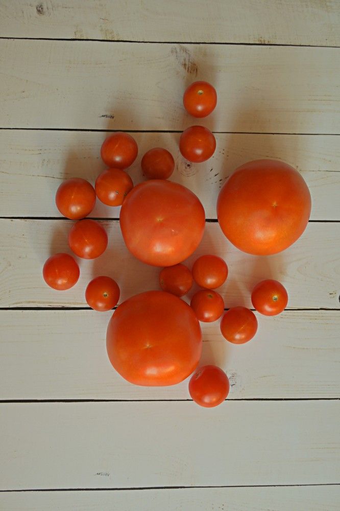 Photograph by Natalia