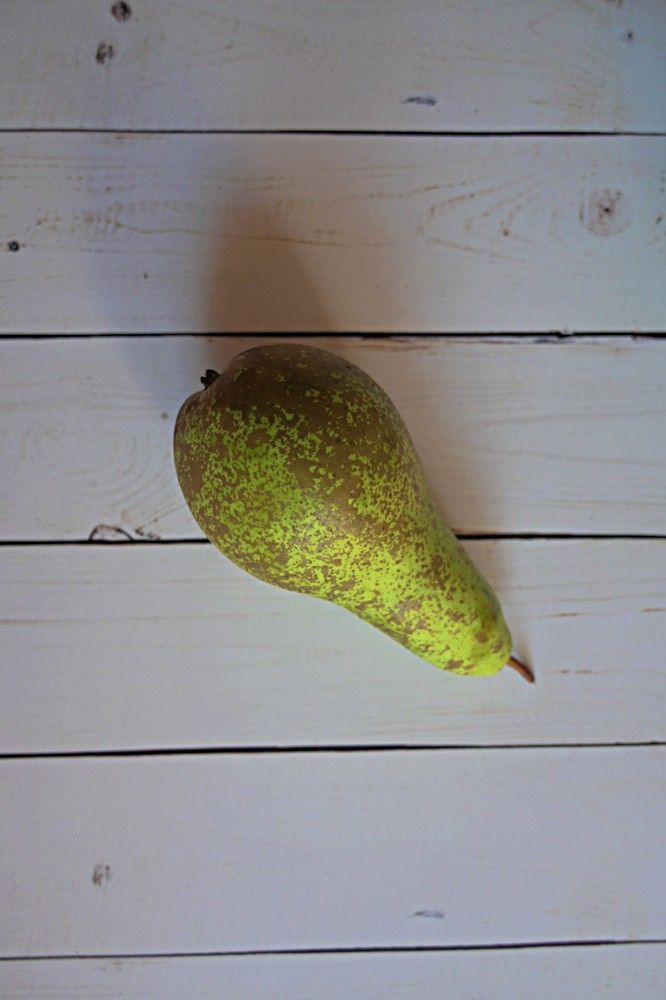 Photograph by Natalia