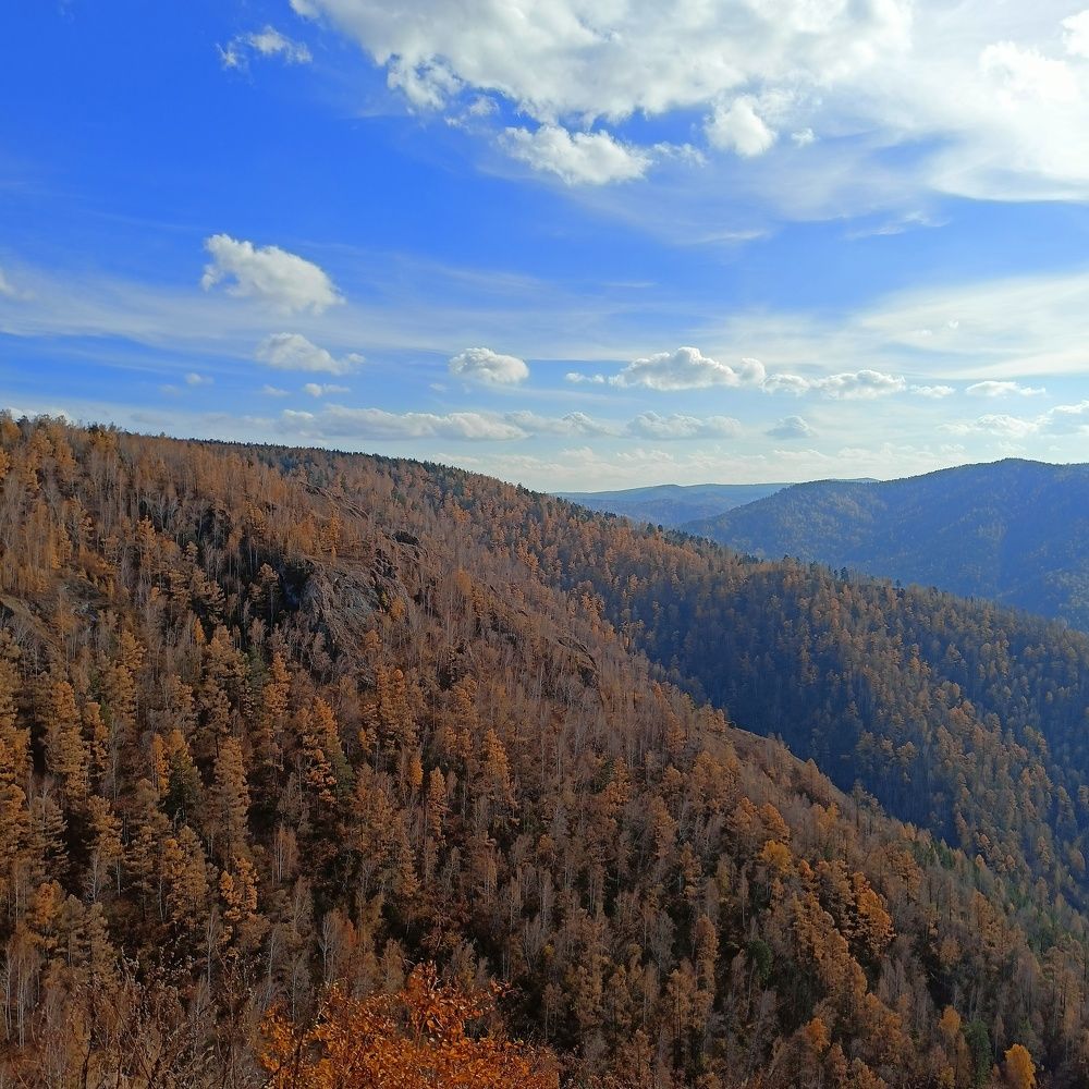 Photograph by Анастасия Горбачева