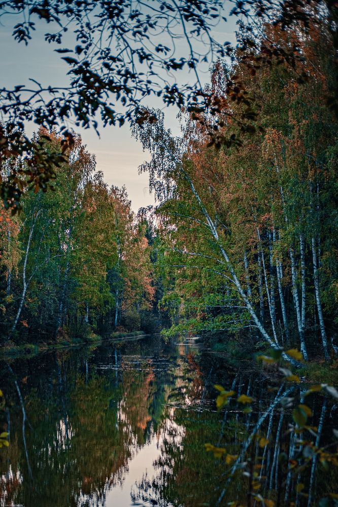 Фотография автора Антон Золотухин