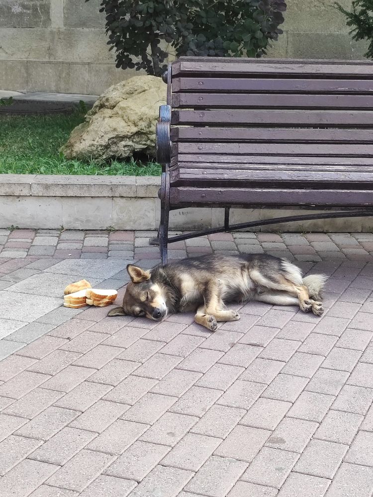 Photograph by Надежда Образцова