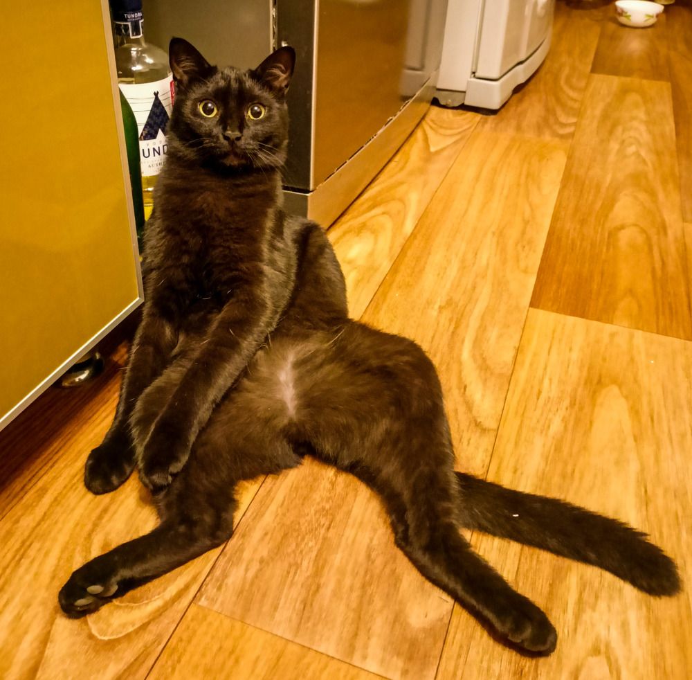 Photograph by Олег Башкуров