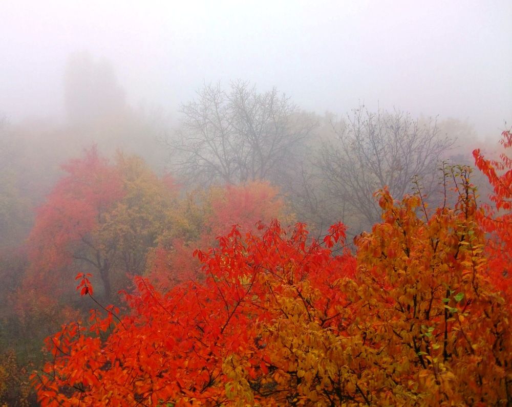 Photograph by Володимир Федишин