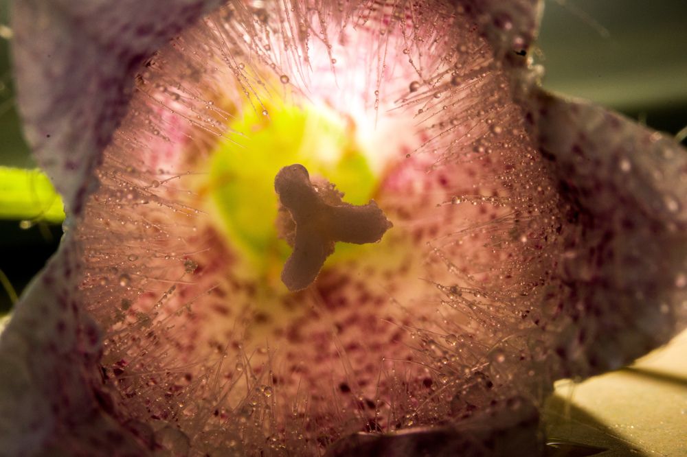 Photograph by Евгения